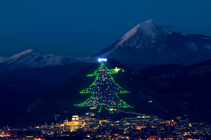 albero di gubbio